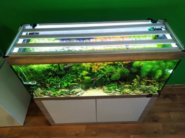 Jakie oświetlenie do akwarium 200l? Odkryj najlepsze opcje dla ryb Jakie oświetlenie do akwarium 200l? Odkryj najlepsze opcje dla ryb